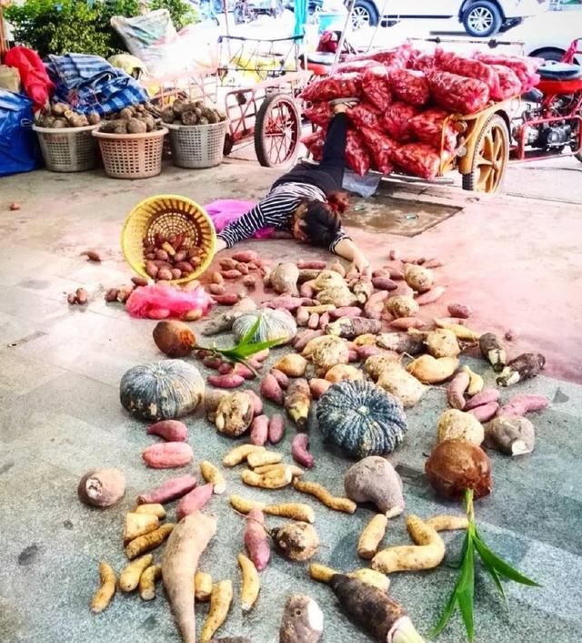 谢楠炫耀吴京合集,谢楠玩炫富挑战完整版