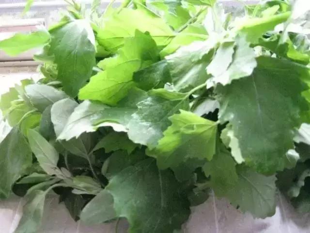 野菜功效,野菜功效介绍