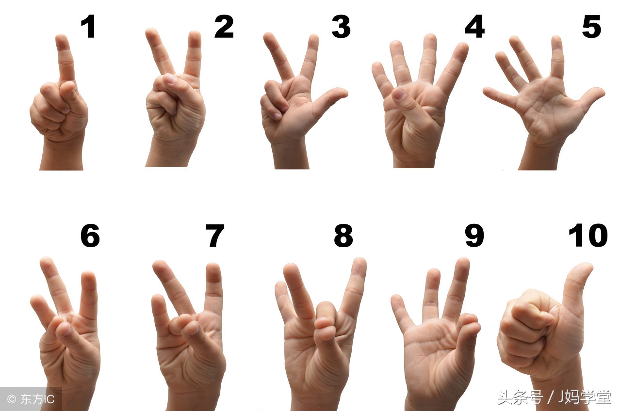 发育迟缓的孩子怎么学数数,如何教孩子学会大脑发育