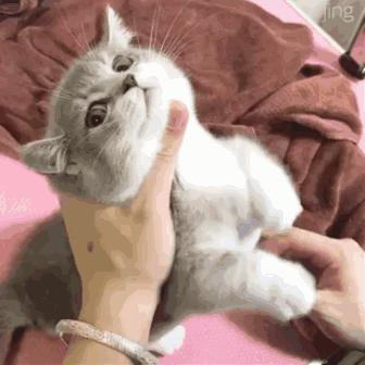 “如果被萌坏了,我帮你叫110救护车!”