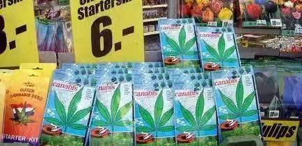 求生欲极强的几个问题,求生欲小技巧