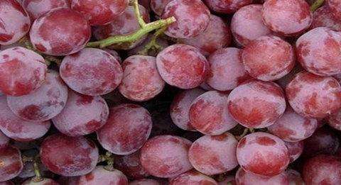 红提与葡萄的功效与作用,红提葡萄吃多了会怎么样