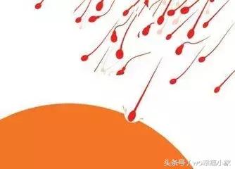 男性生育能力怎么判断,如何判断男性的生育能力