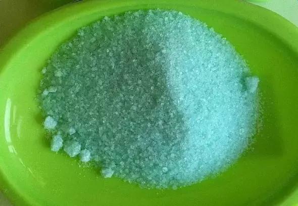 水培植物怎么养不会烂根叶黄,水培植物怎样养长得快又好养