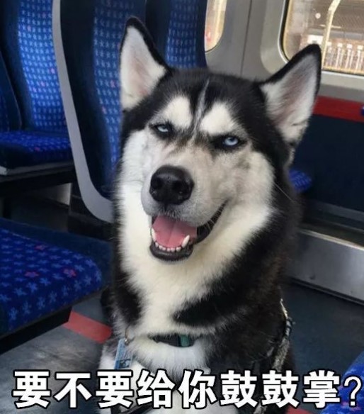 码农适合做男朋友吗,和码农的正确相处方式