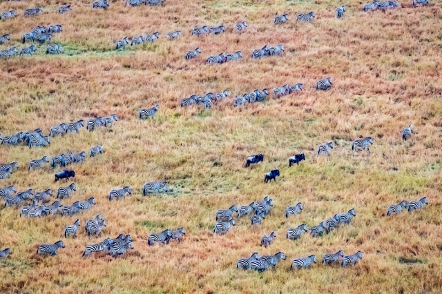 去非洲旅行，如何寻找拍摄题材？