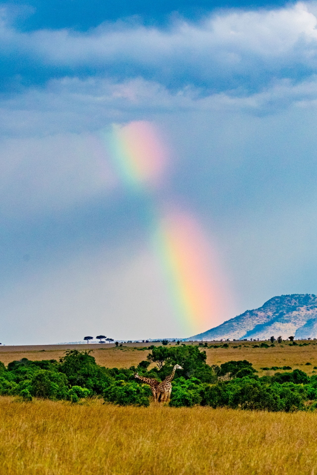 去非洲旅行，如何寻找拍摄题材？