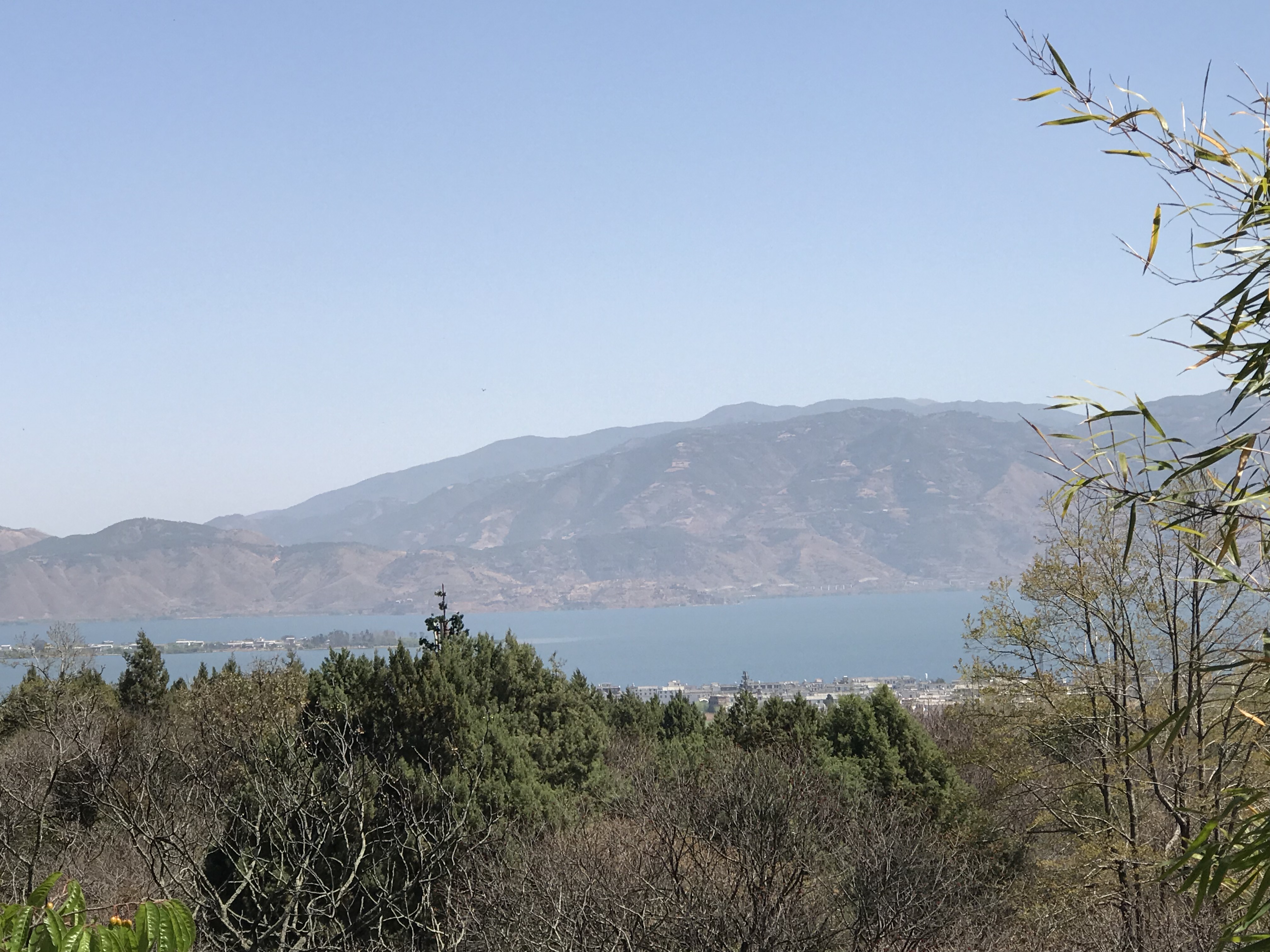 游大理洱海蝴蝶泉游记,云南旅游大理蝴蝶泉攻略图