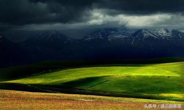 伊犁最美旅游风景区,伊犁旅游攻略探索最美风光