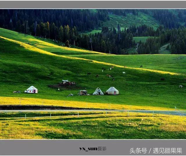 伊犁最美旅游风景区,伊犁旅游攻略探索最美风光