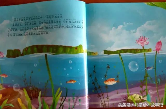 儿童绘本故事美丽的风景,花儿的故事绘本