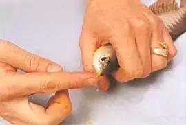 榫欓奔鑳￠』鎹熶激鎬庝箞澶勭悊,榫欓奔鎬庝箞闃叉鑳￠』鎹熶激