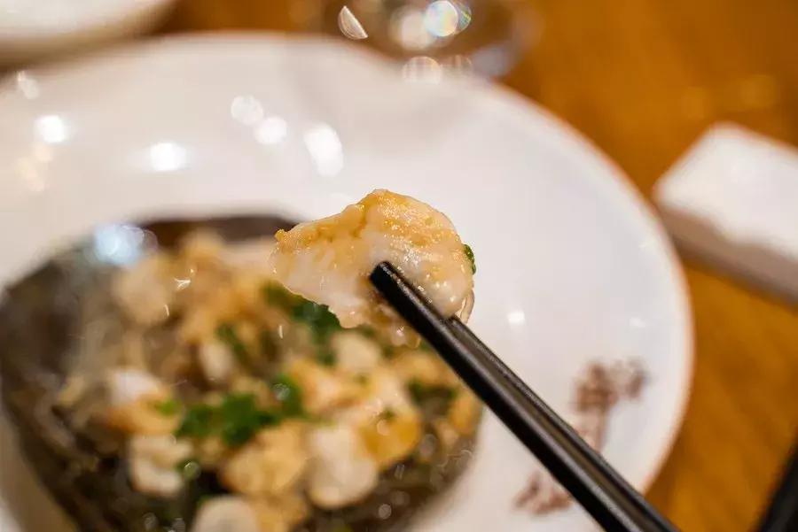 逛水族馆满脑子都是海鲜,水族馆里的海鲜