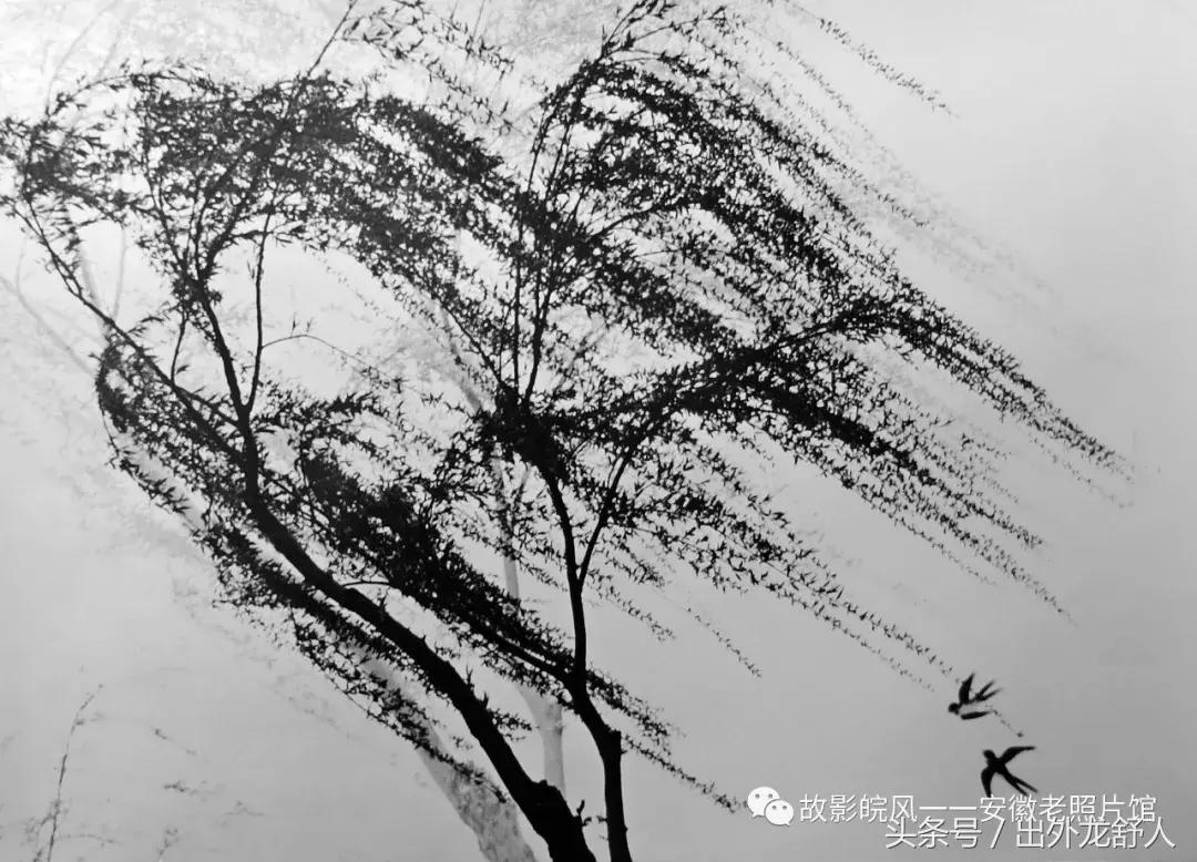 光“徽”岁月——影像见证安徽40年（一）