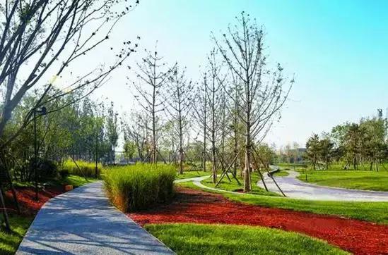 如果让你想象一下未来的房屋，你希望是什么样子的？