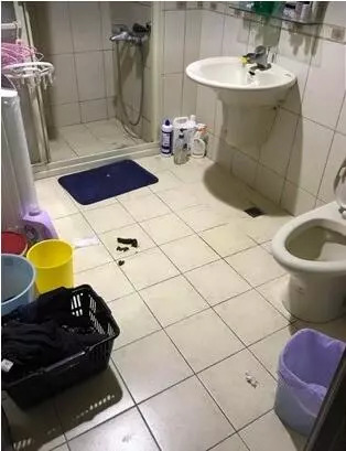 三招训狗,如何训3岁狗的教程