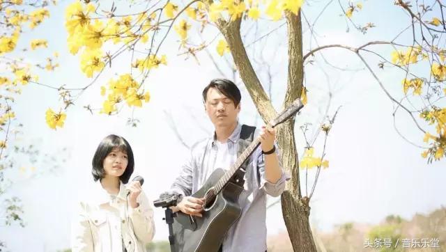 吉他初学者什么样的吉他适合练习,吉他新手入门适合用什么吉他