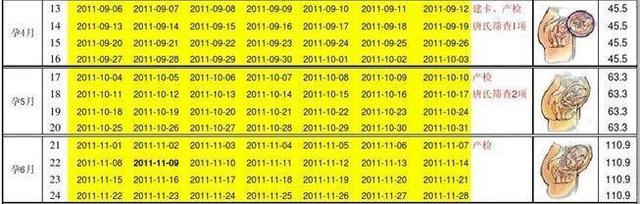 预产期第几周开始每周一检,孕产特殊时期产检指南