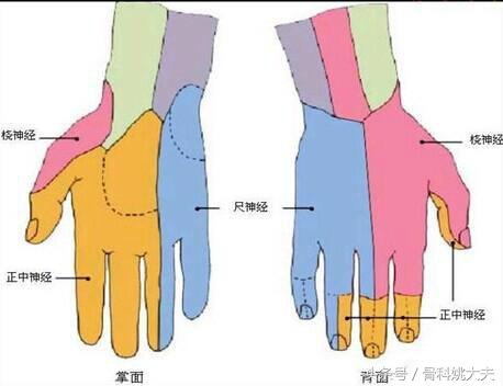 手麻木手指也麻木怎么治,手指麻木嘴唇麻木是怎么回事