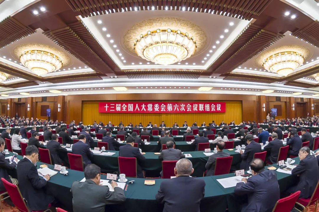 深检君民法视频,深检君活动视频