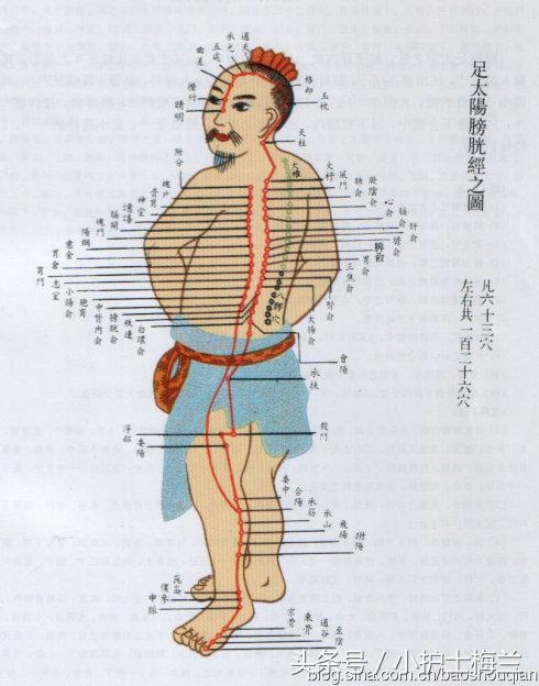 任督二脉功法图,真气打通任督二脉图解