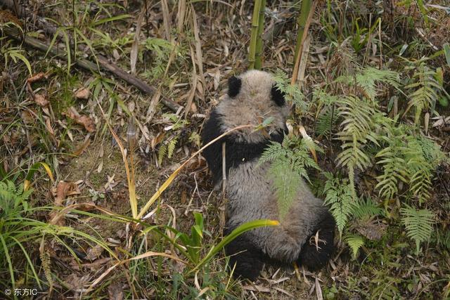 秋老虎护理肌肤,秋老虎护肤技巧