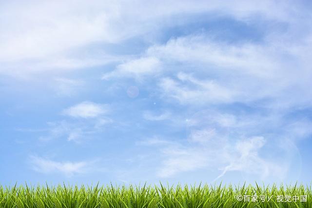 冷知识鞋子除臭,高跟鞋子磨脚后跟怎么处理妙招