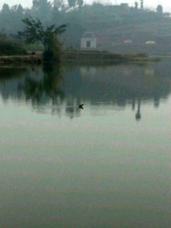 抬线钓法全过程,四川最厉害的钓法