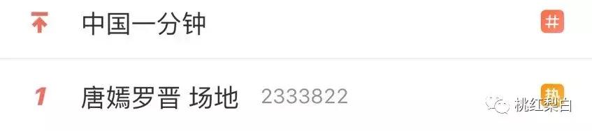 唐嫣罗晋与伴郎伴娘合影大全,唐嫣罗晋的婚礼现场伴娘伴郎