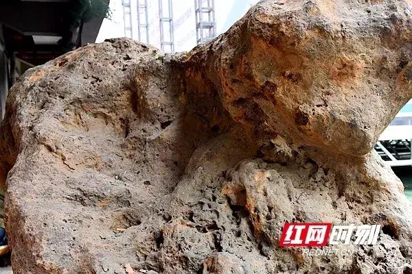 湘江挖出铁牛,千里湘江第一湾照片