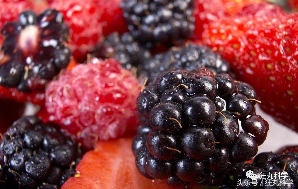 西兰花里好多小虫子,西兰花里有虫子视频