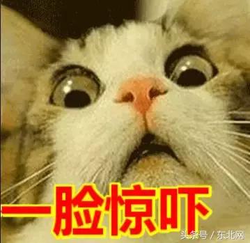 ugg被曝光视频,ugg有好多品牌怎么区分