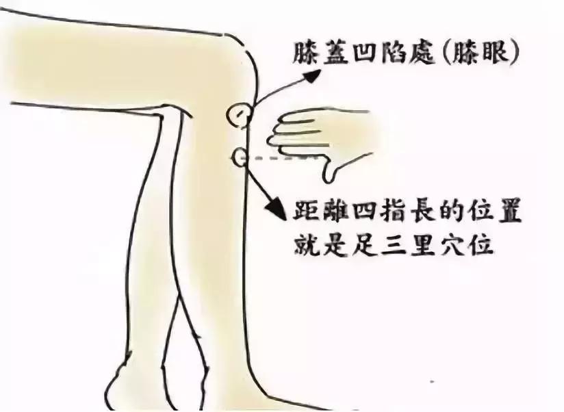 失眠、便秘、牙痛、头痛、鼻出血……一分钟治病，太神奇了！