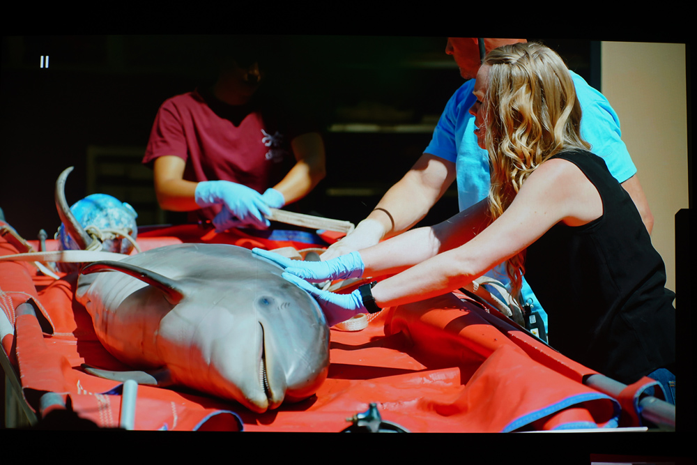 明基最高端的投影,明基最高端投影仪