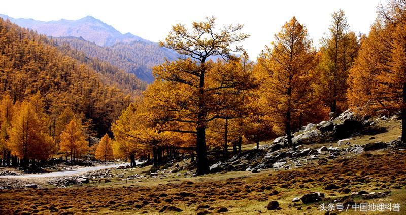 地理航拍中国黑龙江,黑龙江自然地理环境特征