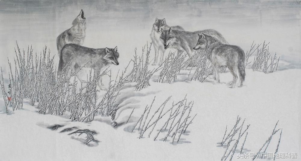 黑龙江省地形地貌与气候特征,2021年黑龙江省气候预测