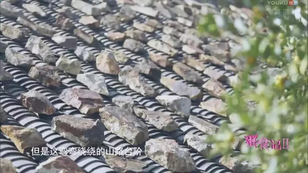 从世界500强企业辞职创业,从世界500强辞职