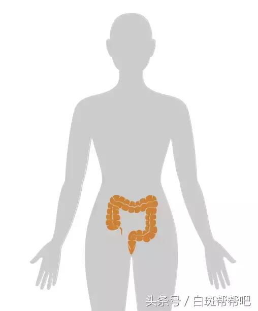 李咏是因为癌症死亡的吗,李咏得的啥癌症为什么葬在美国