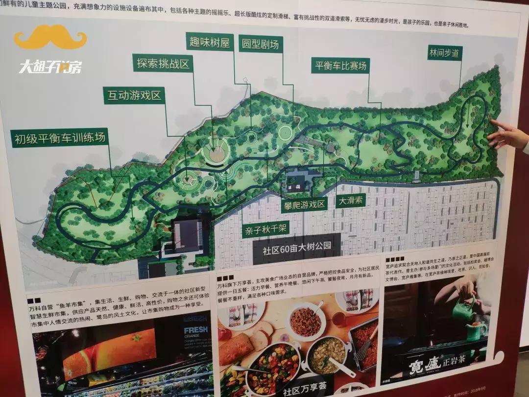 万科六折降价楼盘,万科甩卖房子