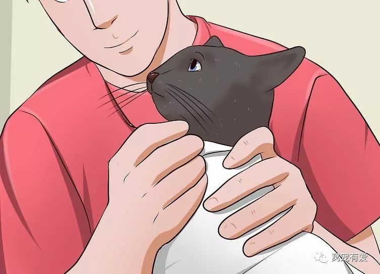 耳螨的日常护理,准备几样东西