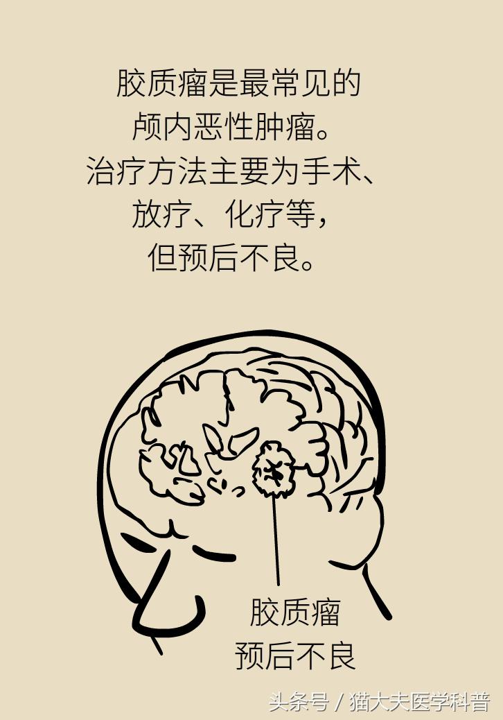 生酮饮食能治疗肺癌吗,生酮饮食能治疗癌细胞扩散吗