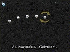 打好乒乓球注意事项,打好乒乓球的基本功