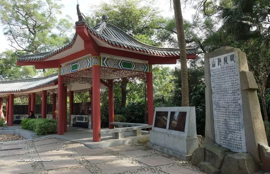 球队招募热血视频,球队招募运动员