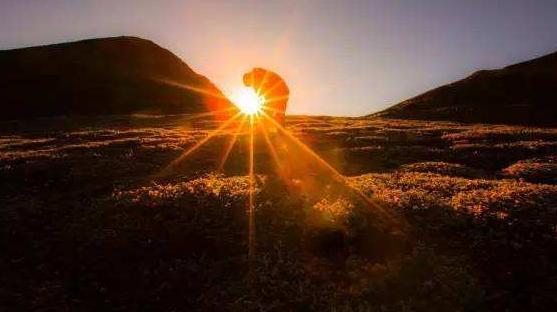 微商自媒体引流软文,微商精准引流软文推广