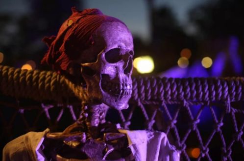 不给糖就捣蛋跟万圣节的关系,光遇万圣节快乐不给糖就捣蛋