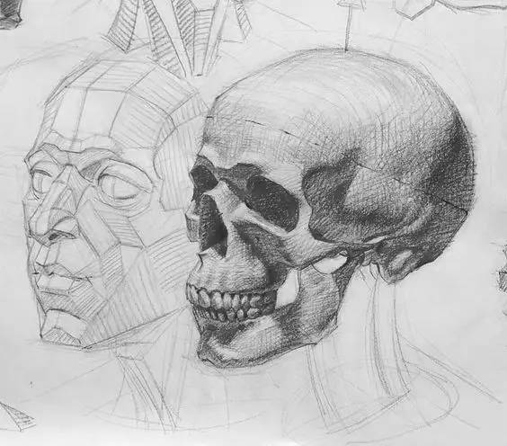 老孙快画素描入门零基础教程,零基础素描画画教程