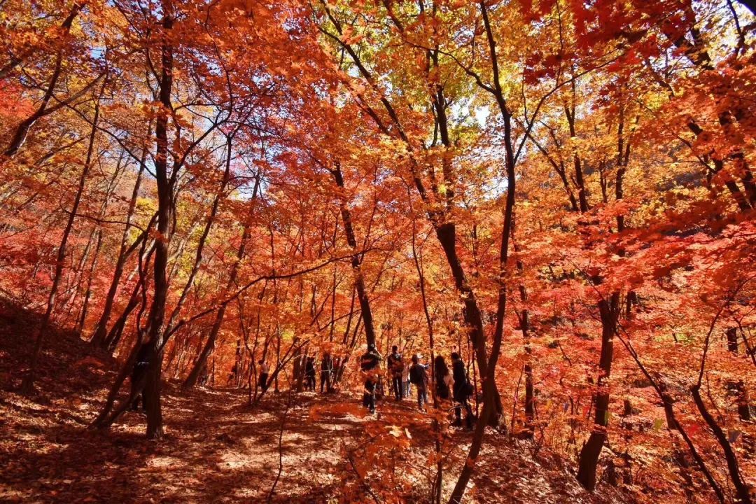 安利贴好物,安利宝藏贴纸