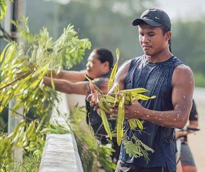 莱斯特城致敬老板,身价千万的泰拳王播求