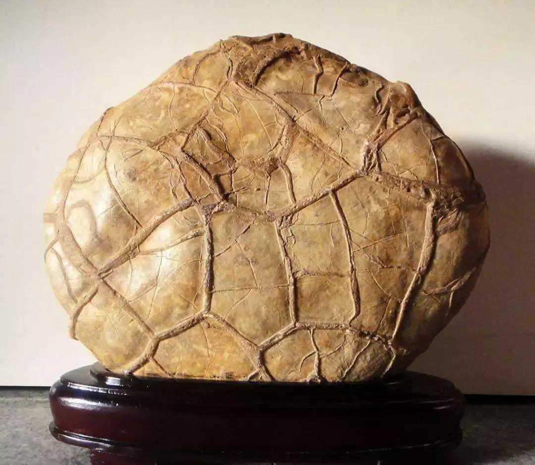 80种中国奇石让你认石不难,奇石种类一览表图解