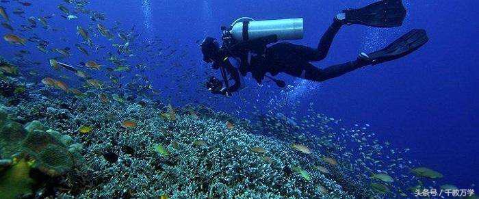 初三上册化学制取氧气化学式,初中化学氧气的制取与性质知识点